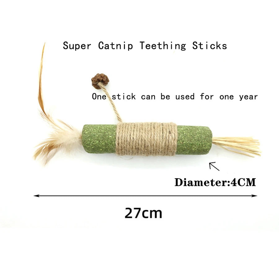 Smart Interactive Cat Ball — Catnip & Touch-Activated Sound