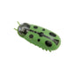 Mini Electric Bug Cat Toy — Interactive Ladybird Beetle Shape