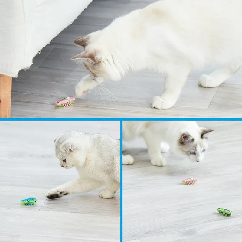 Mini Electric Bug Cat Toy — Interactive Ladybird Beetle Shape